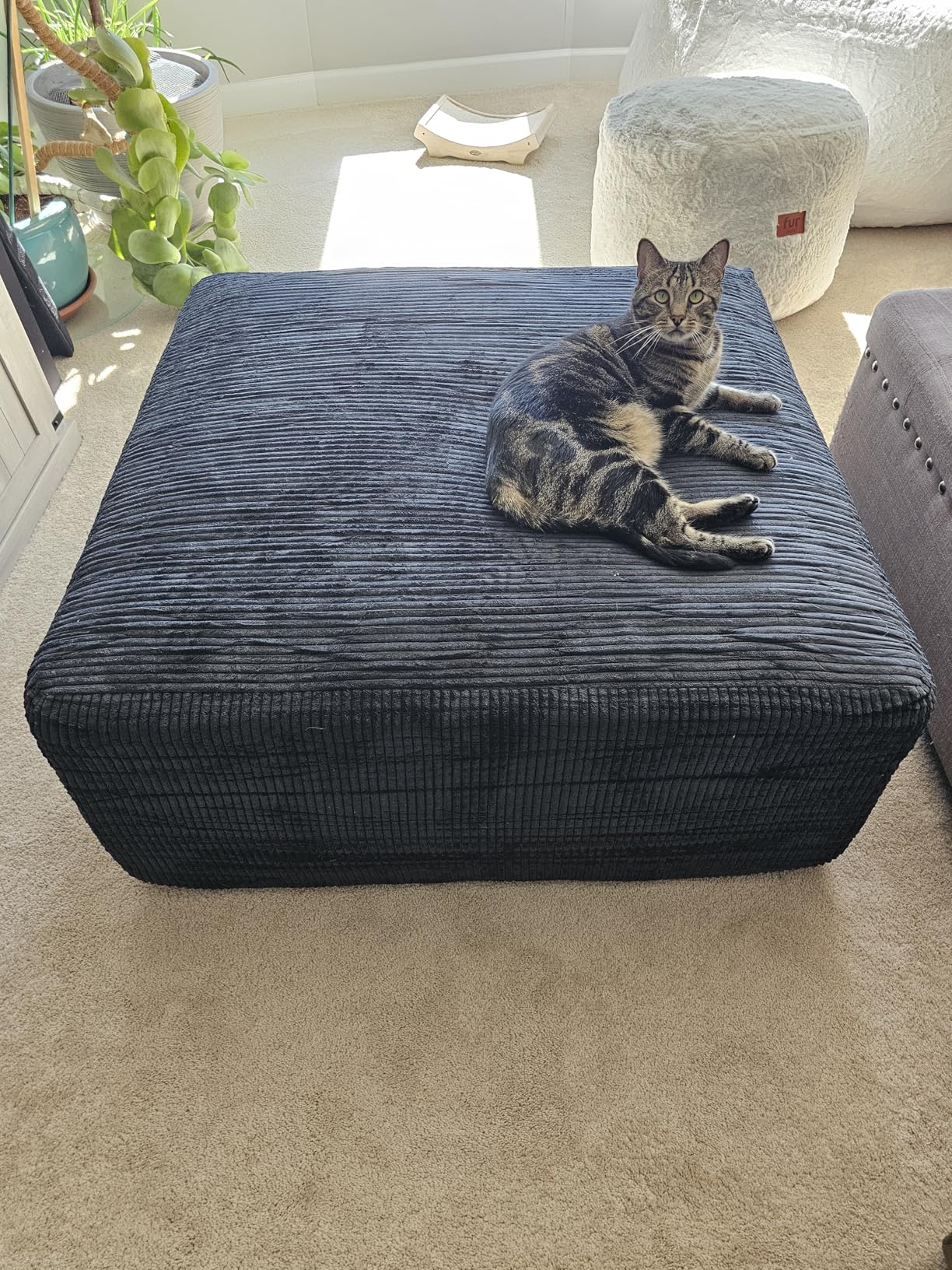 Boneless Sectional Cloud Couch Sofa for Living Room, 112