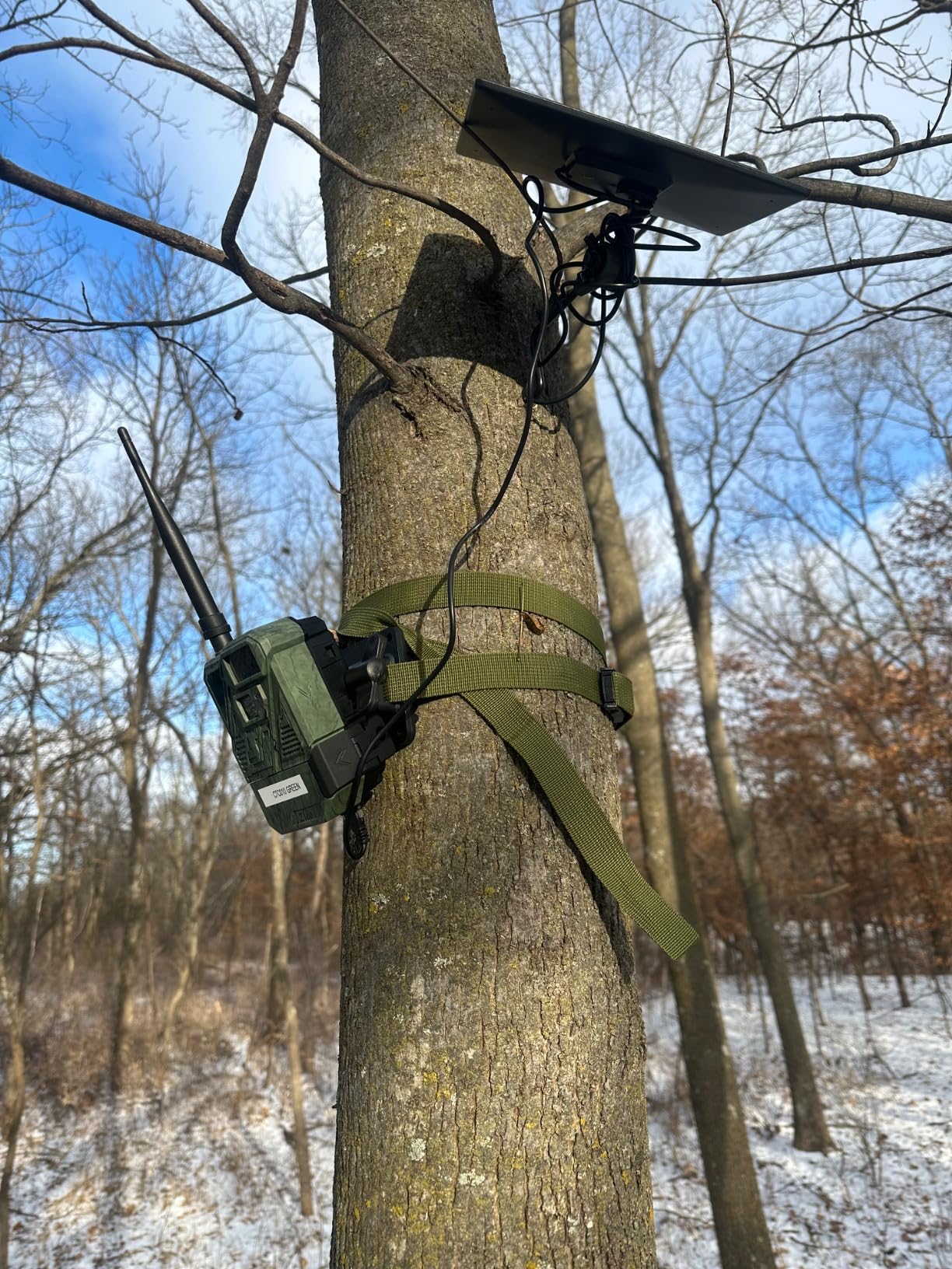 Zleo No Subscription Deer Game Cameras - Cellular Trail Cam for Hunting - SIM Card Pre-Inserted - Live Feed - Solar Power - Night Vision - Motion Activated - IP66 Waterproof - No WiFi Needed - Customer Photo 2