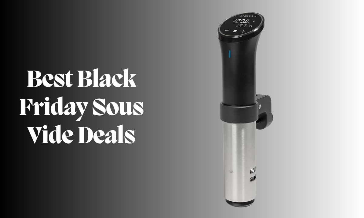 Best Black Friday Sous Vide Deals