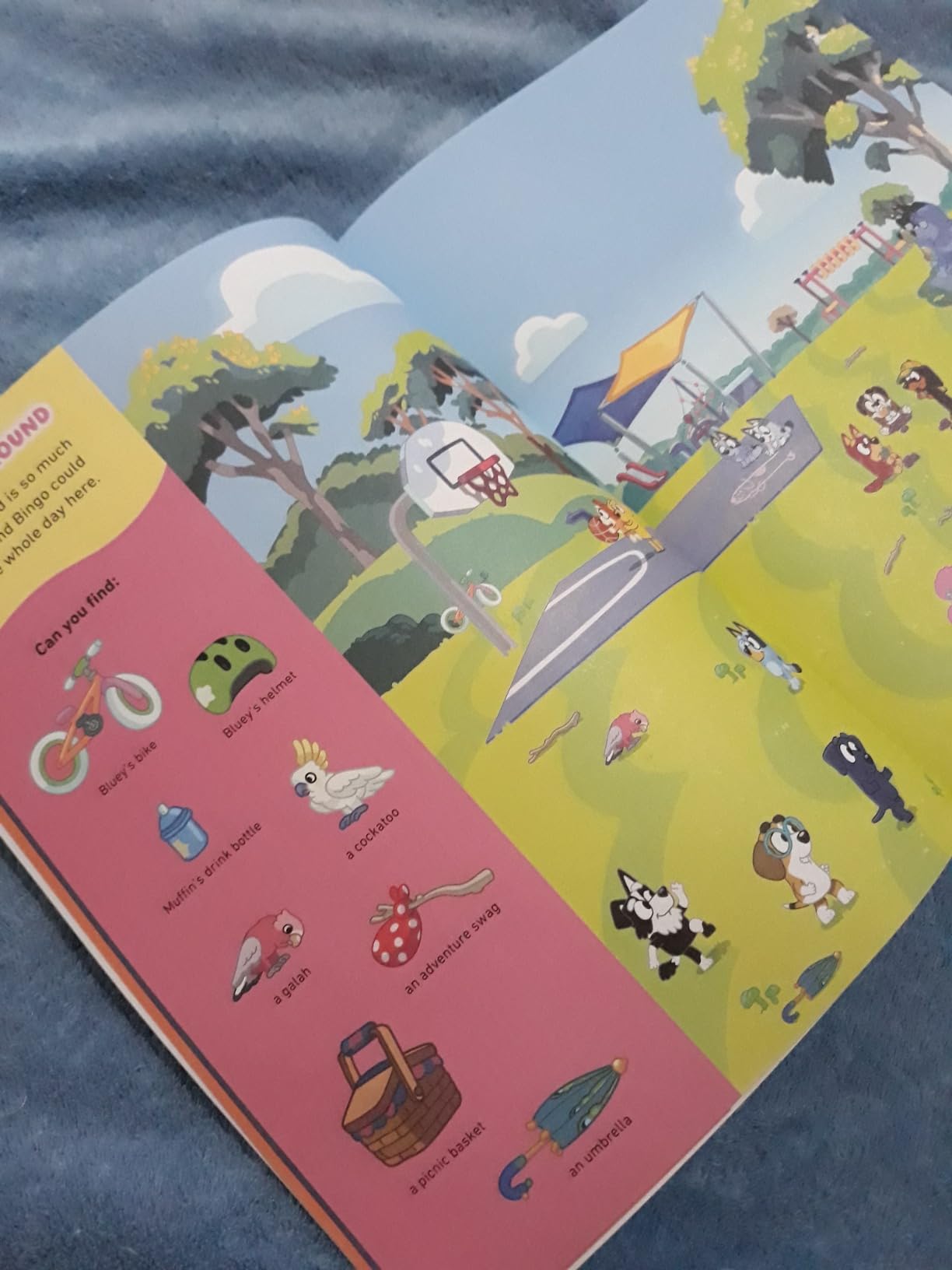 Where's Bluey?: A Search-and-Find Book - Customer Photo 1