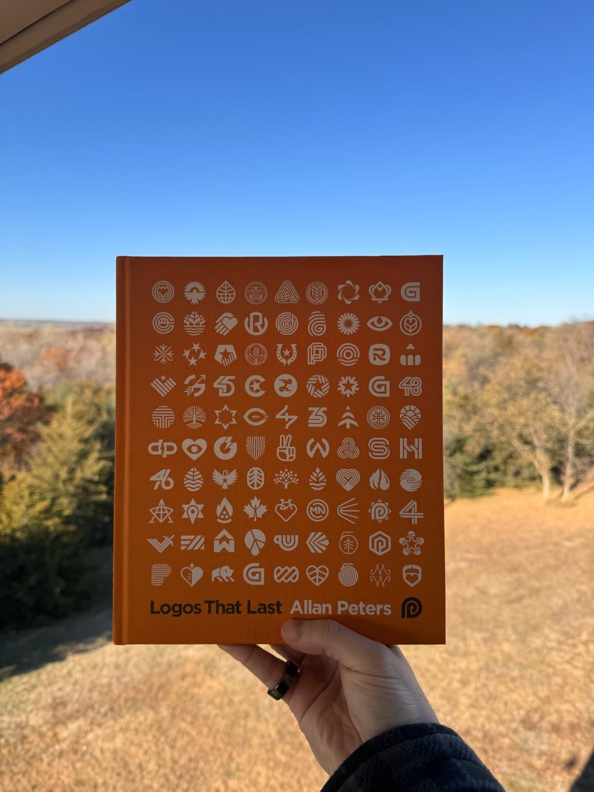 Logos that Last: How to Create Iconic Visual Branding Customer Review Logos that Last: How to Create Iconic Visual Branding - Customer Photo 2