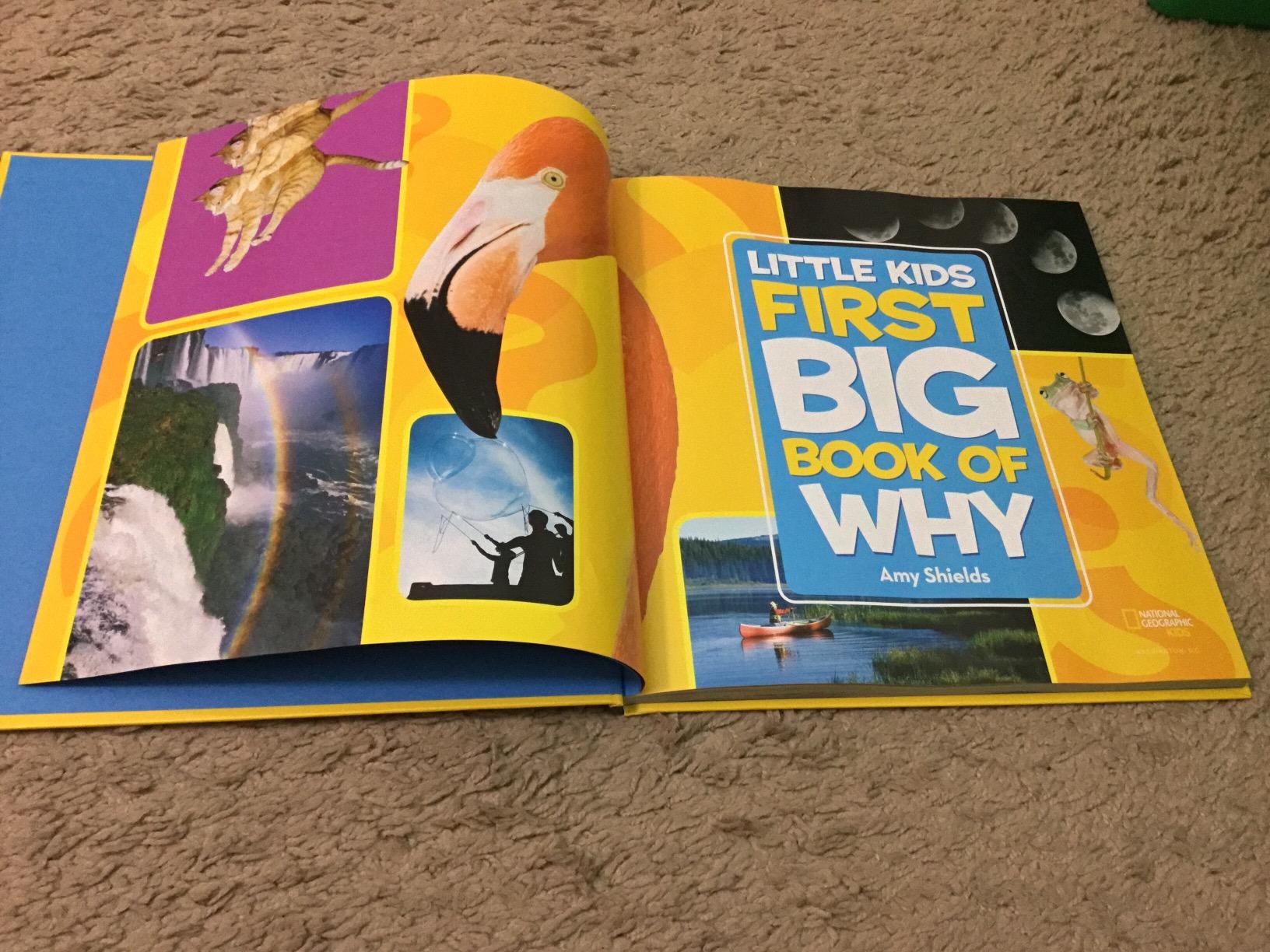 National Geographic Little Kids First Big Book of Why - Customer Photo 4