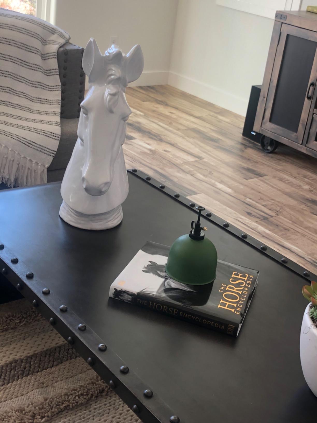 The Horse Encyclopedia (DK Pet Encyclopedias) - Customer Photo 4