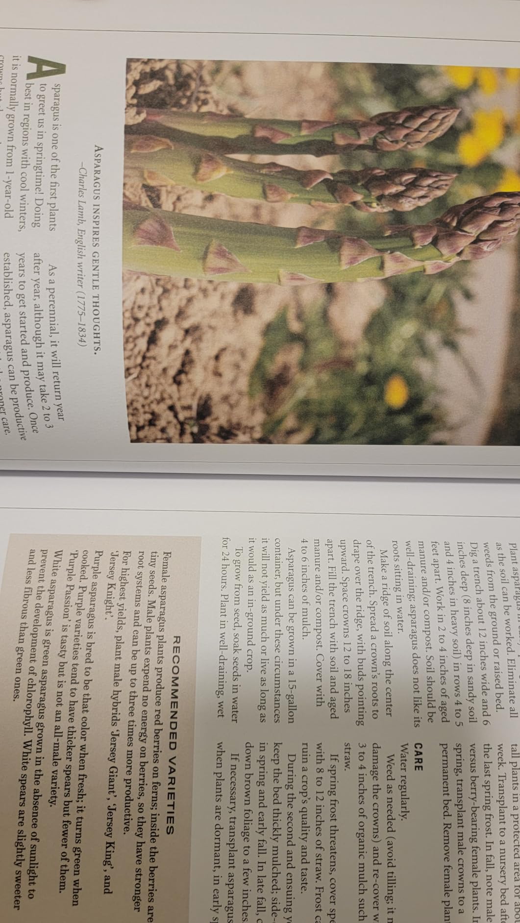 The Old Farmer's Almanac Vegetable Gardener's Handbook - Customer Photo 1