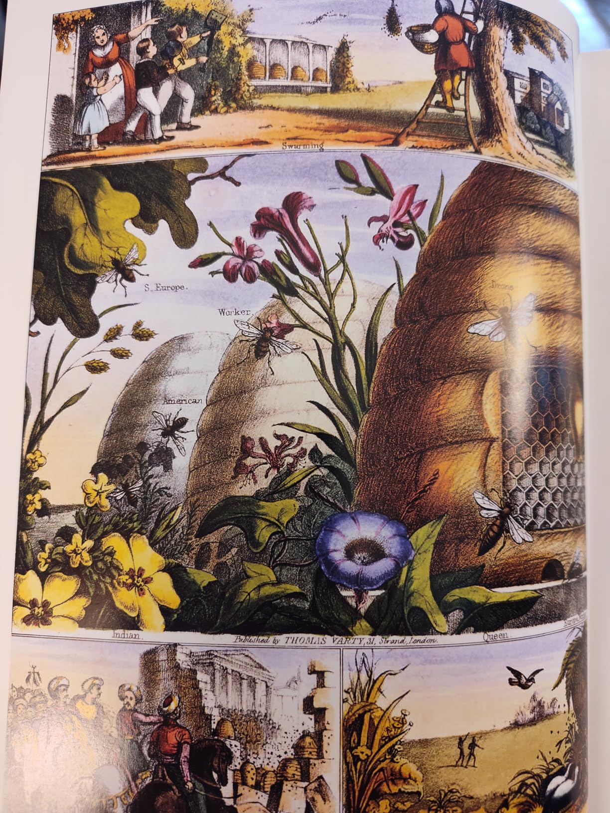 The Beekeeper's Bible: Bees, Honey, Recipes & Other Home Uses (The Backyard Naturalist Series) - Customer Photo 4