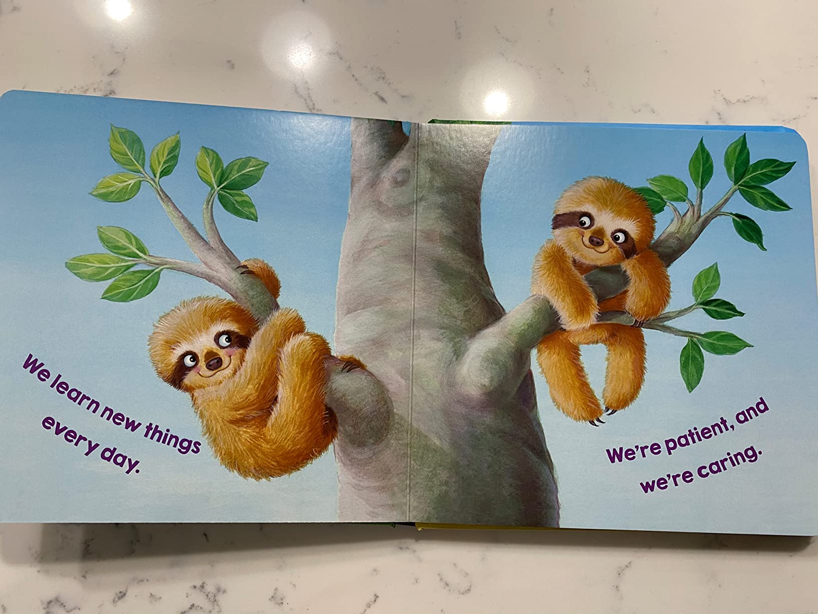 We Are Twins: A Sweet Rhyming Story About Twins | Celebrates the Bond of Twin Siblings | Heartwarming Board Book Keepsake for Toddlers & Families - Customer Photo 1