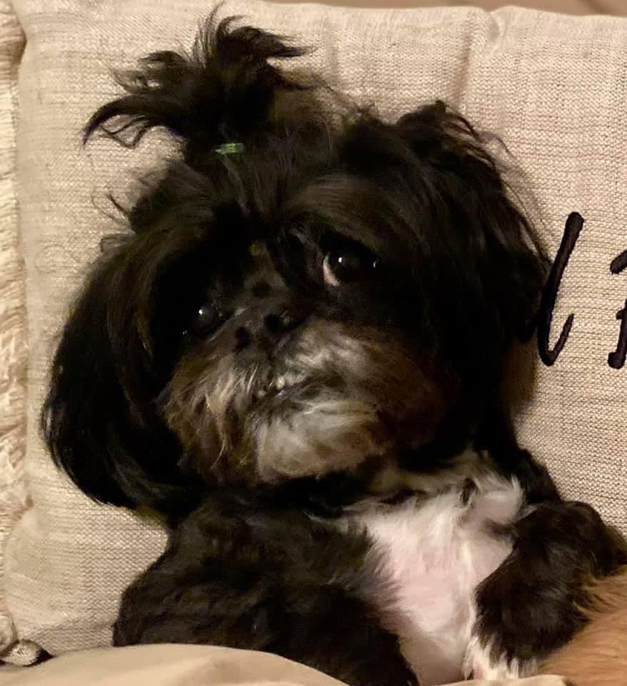 Willow Tree Friendship Keepsake Box, Forever True, Forever Friends, Holds Jewelry and Treasures, Carving of Best Friends or Sisters, Sculpted Hand-Painted Keepsake Box - Customer Photo 3