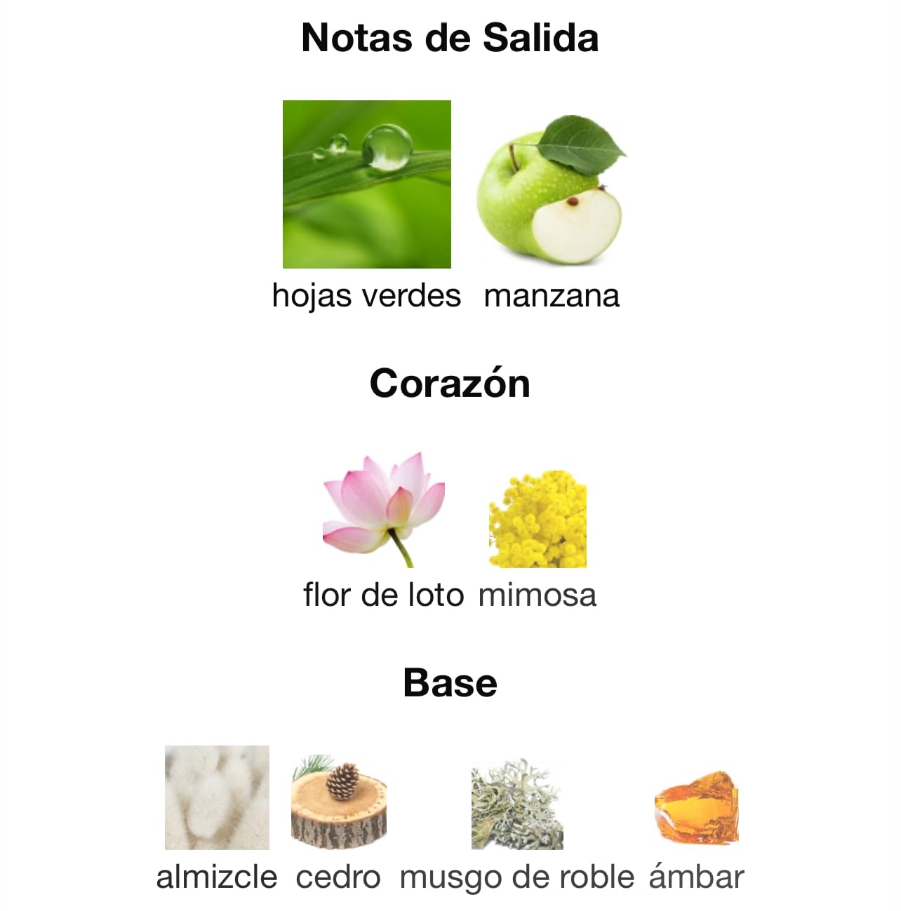 Nautica Voyage Eau De Toilette, Cologne and Fragrance For Men, Fresh, Romantic, Fruity Scent Woody, Aquatic Notes of Apple, Water Lotus, Cedarwood, and Musk Ideal Day Wear, Long Lasting 3.3Fl oz - Customer Photo 2