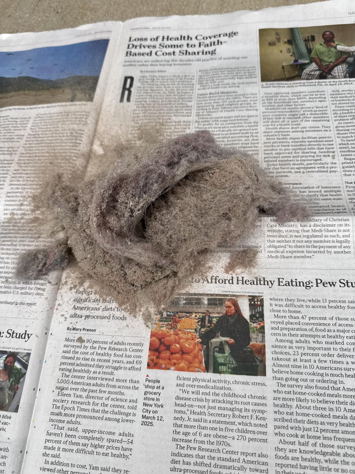 Dyson V11 Origin Cordless Vacuum, 185AW, 3 Power Modes, Up to 60 Minutes,² Deep Cleans Hard Floors and Carpets, Detangles pet Hair, Converts to Handheld - Customer Photo 3