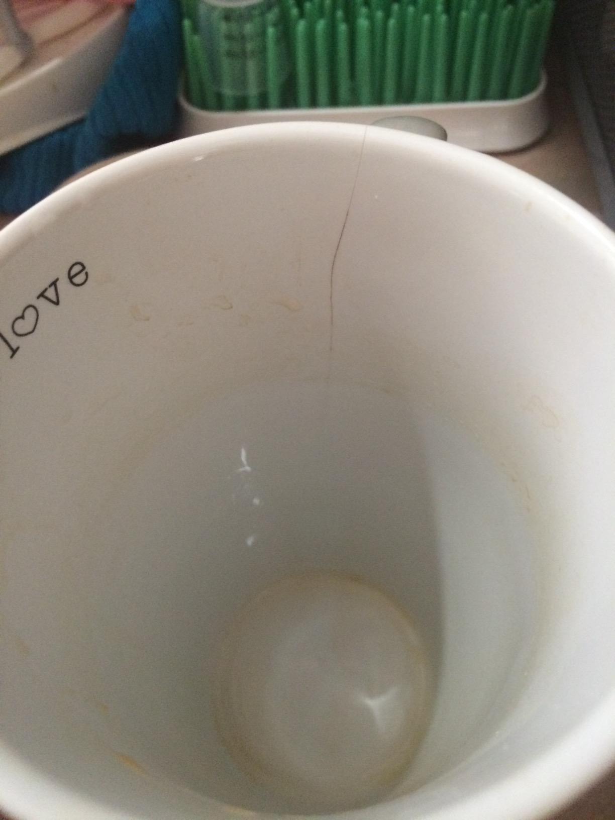 Pavilion Gift Company Stoneware Mug, Real Moms Make Twins,Multicolored - Customer Photo 2