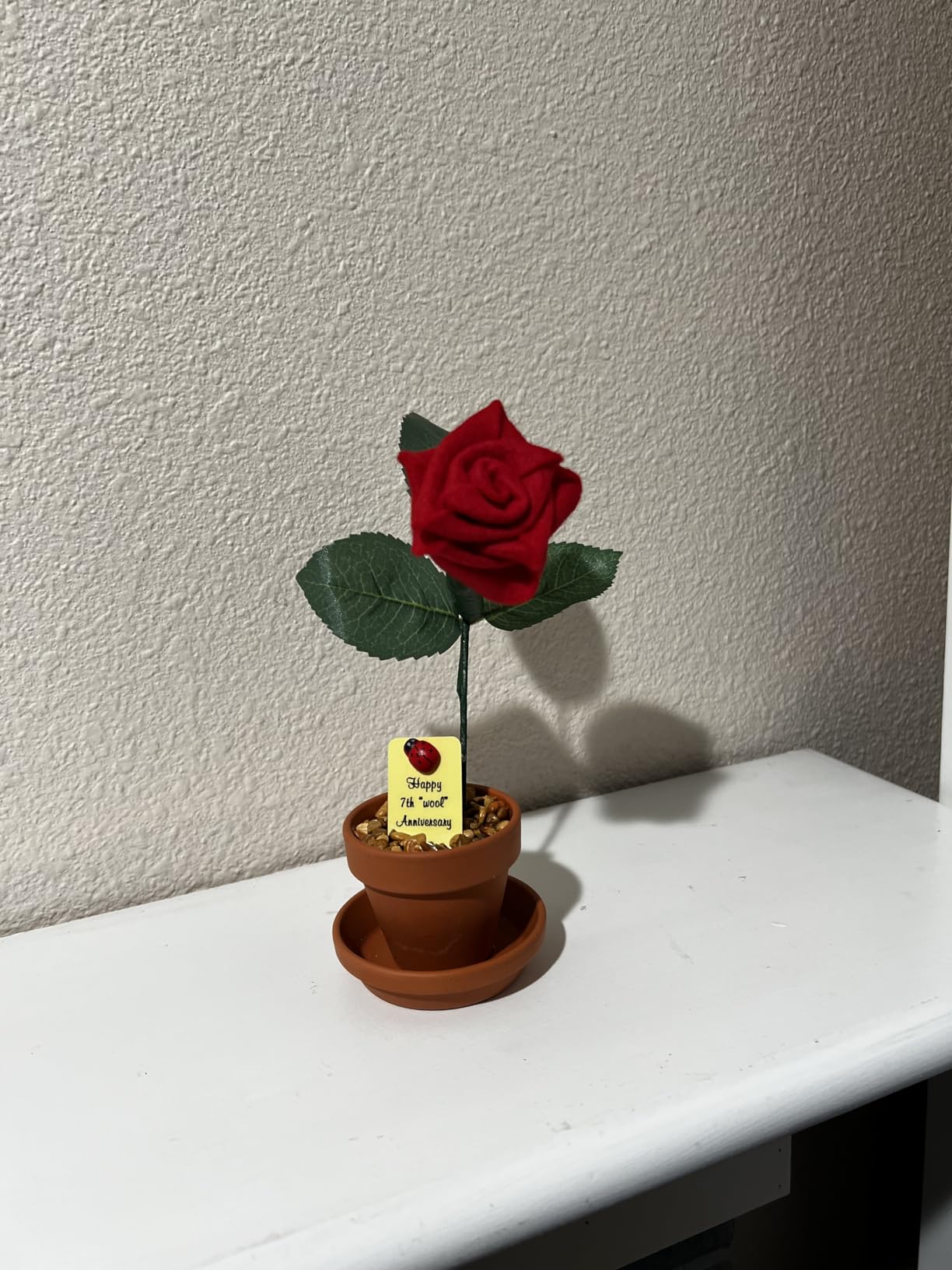 JustPaperRoses – Wool Anniversary Desk Gift – Red – 7th Year JustDeskRoses in Terra Cotta Pot – Handmade Wool Gift for Him or Her, 7th Wedding Anniversary Decor Customer Review JustPaperRoses – Wool Anniversary Desk Gift – Red – 7th Year JustDeskRoses in Terra Cotta Pot – Handmade Wool Gift for Him or Her, 7th Wedding Anniversary Decor - Customer Photo 4