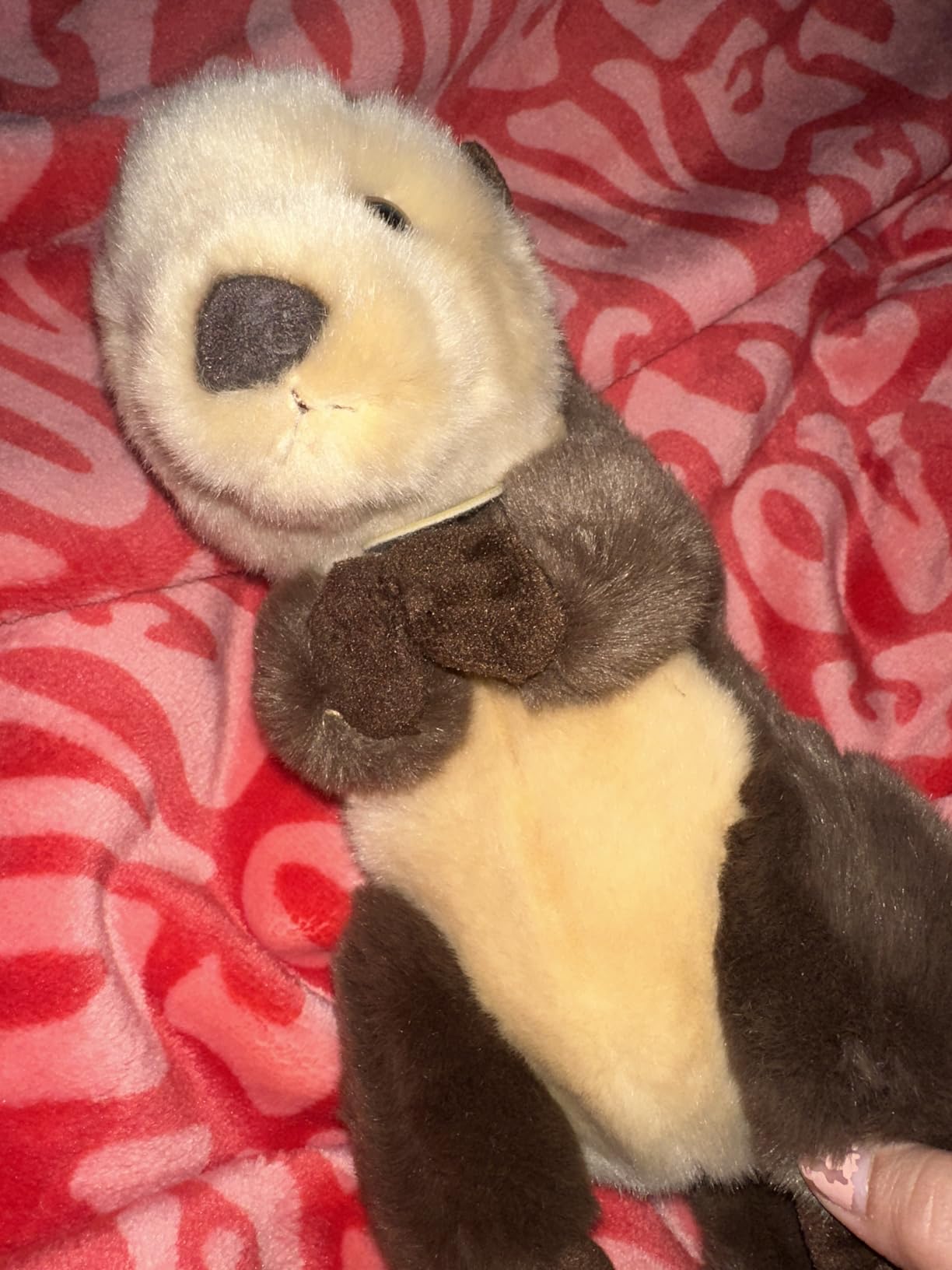Aurora® Realistic Miyoni® Sea Otter Stuffed Animal - Lifelike Details Make a Cherished Companion - Perfect for Decorating Bedrooms or Classrooms - Brown 10 Inches - Customer Photo 2