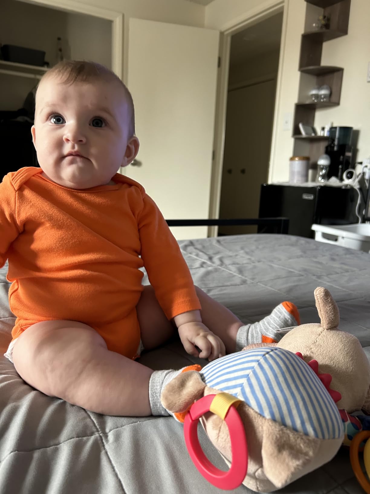 Skip Hop Bandana Buddies Baby Activity and Teething Toy with Multi-Sensory Rattle and Textures, Elephant - Customer Photo 2