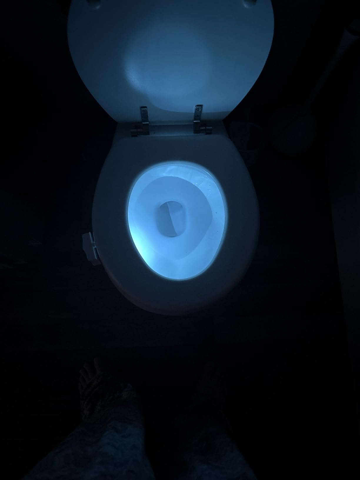 ToiLight The Original Toilet Bowl Night Light. Fun Useful Bathroom Motion Sensor Tech Gadget. Funny Novelty Birthday Gift Idea. Stocking Stuffer for Him Her Guys Men Mom Brother - Customer Photo 1