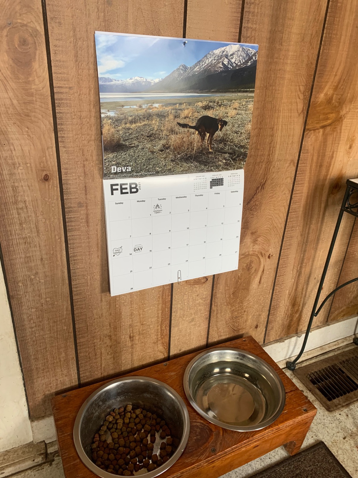 White Elephant Gag Gift Calendar - Customer Photo 5