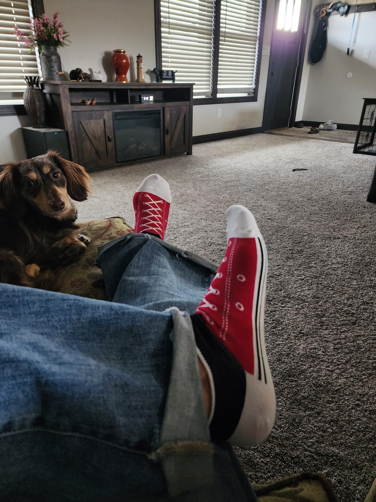 KONY Women's 5 Pack Lightweight Cotton (86%) Novelty Low Cut Socks Cool Sneakers Ankle Socks Fun Gifts Idea Size 6-10 - Customer Photo 2