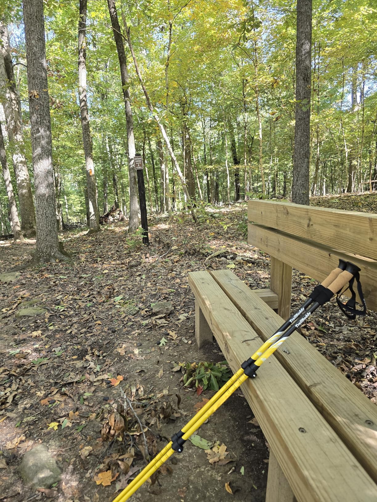 TrailBuddy Trekking Poles – Lightweight 7075 Aluminum Hiking Poles for Women, Men & Seniors – Collapsible Walking Sticks for Travel, Trails & Balance Customer Review TrailBuddy Trekking Poles – Lightweight 7075 Aluminum Hiking Poles for Women, Men & Seniors – Collapsible Walking Sticks for Travel, Trails & Balance - Customer Photo 1