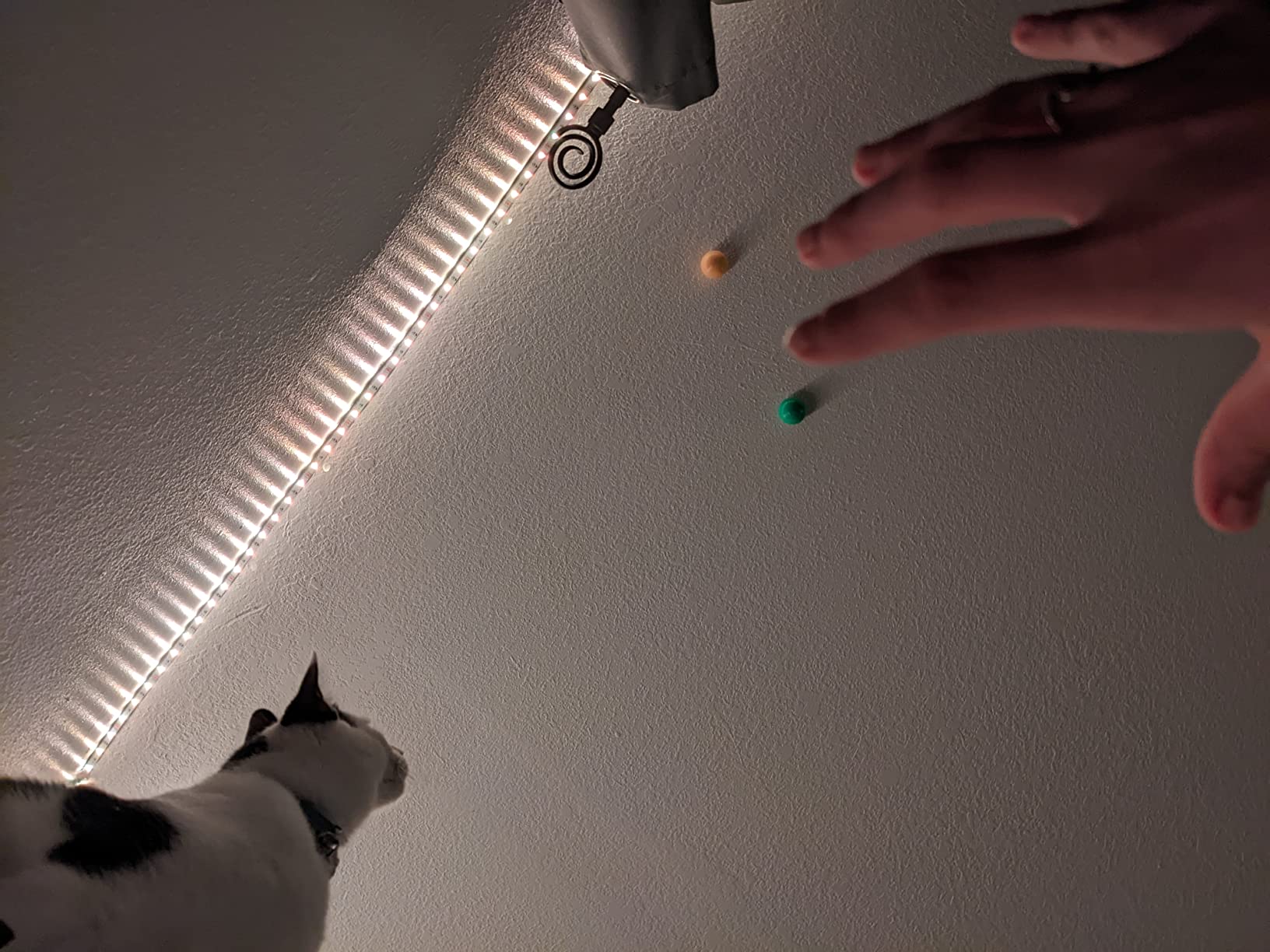 Crayola Globbles Fidget Toy (6ct), Stocking Stuffers for Kids, White Elephant Gifts, Sticky Stress Ball for Adults & Kids, Squishy Balls, Calming Sensory Toys for Stress Relief - Customer Photo 2