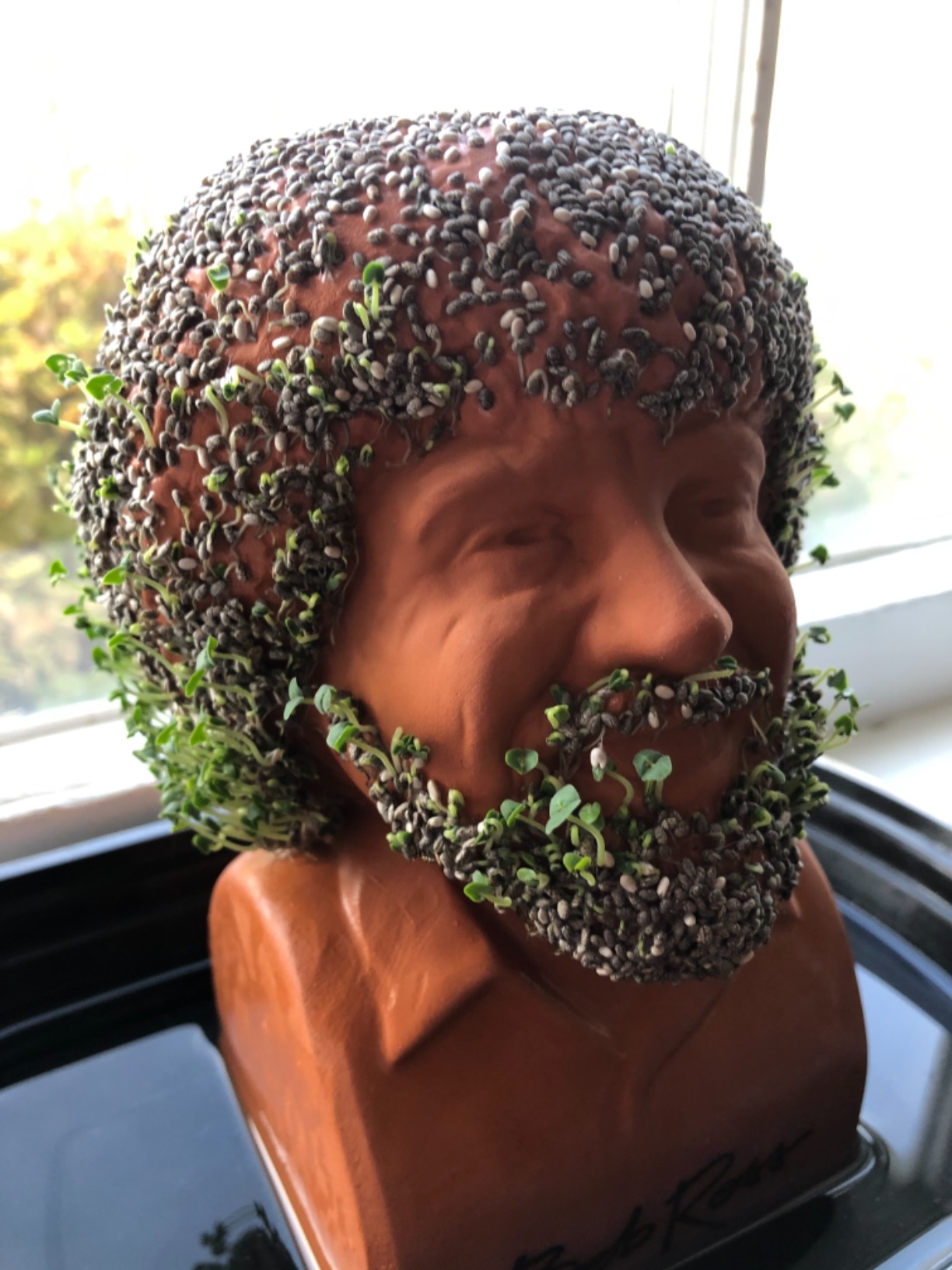 Chia Pet Golden Girls - Sophia with Seed Pack, Decorative Pottery Planter, Easy to Do and Fun to Grow, Novelty Gift, Perfect for Any Occasion - Customer Photo 2