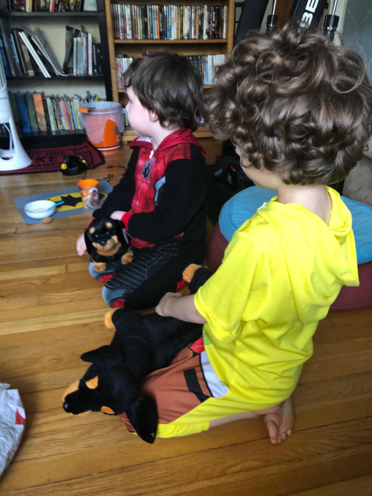 Bearington Harley The Dachshund Stuffed Animal, 13 Inch Weiner Dog Stuffed Animal - Customer Photo 1