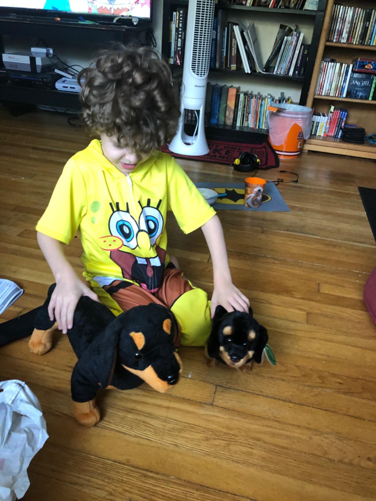 Bearington Frankie The Dachshund Stuffed Animal, 13 Inch Weiner Dog Stuffed Animal - Customer Photo 2