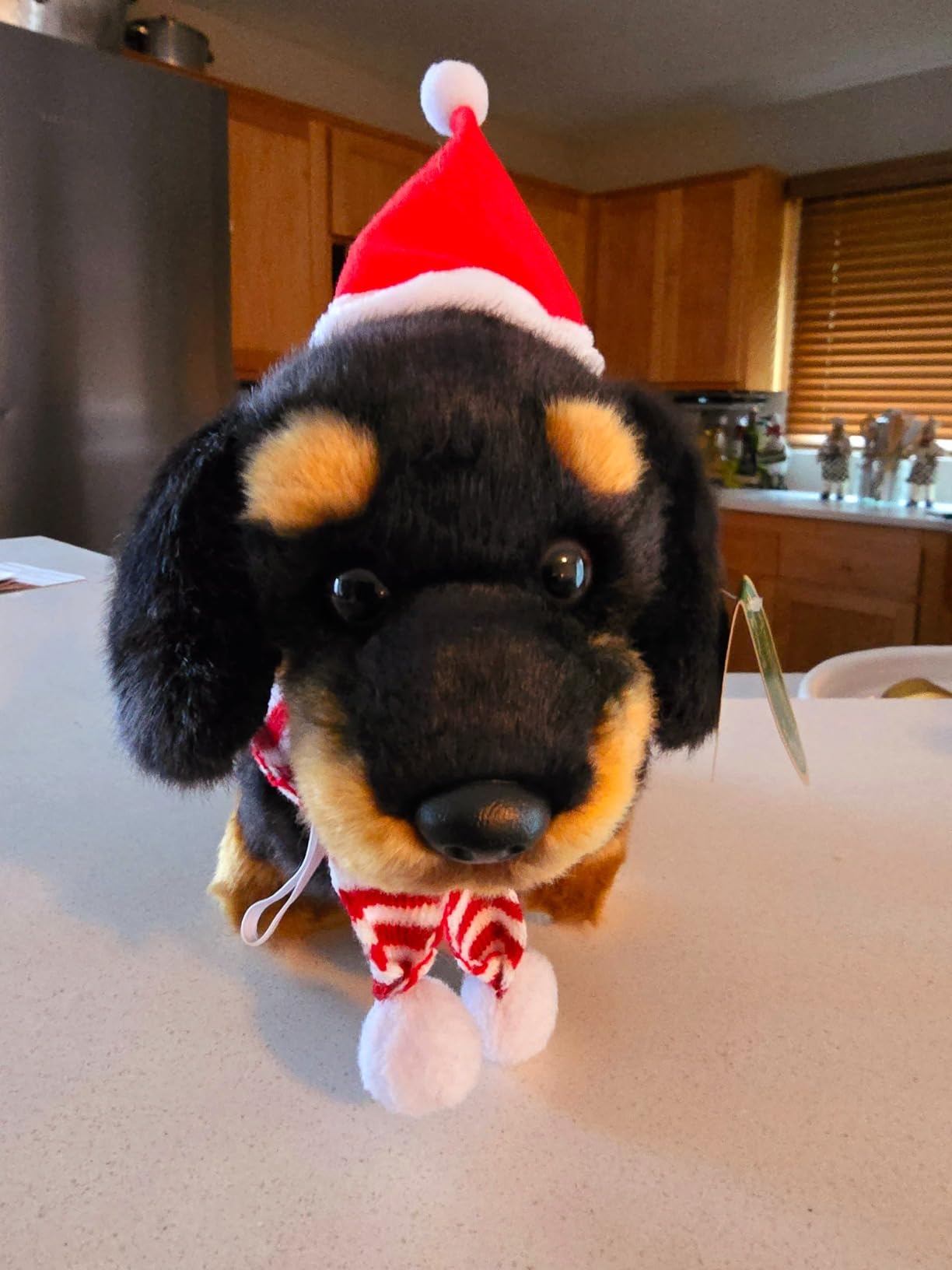 Bearington Frankie The Dachshund Stuffed Animal, 13 Inch Weiner Dog Stuffed Animal - Customer Photo 5