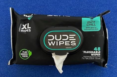 DUDE Wipes - Flushable Wipes Stocking Stuffers - 1 Pack, 48 Count - Mint Chill - Vitamin-E, Aloe, Eucalyptus & Tea Tree Oils - Septic and Sewer Safe - Customer Photo 1