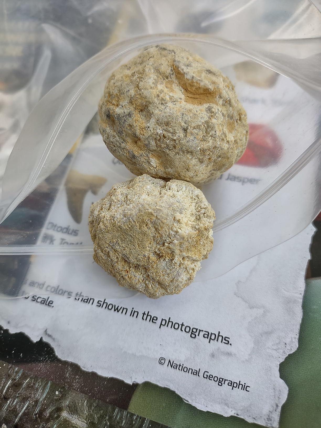 National Geographic Rock Collection Box for Kids – 300+ Piece Gemstones and Crystals Set Includes Geodes and Real Crystals, Rocks and Minerals, Science Kit for Kids, A Geology Gift for Boys and Girls - Customer Photo 1