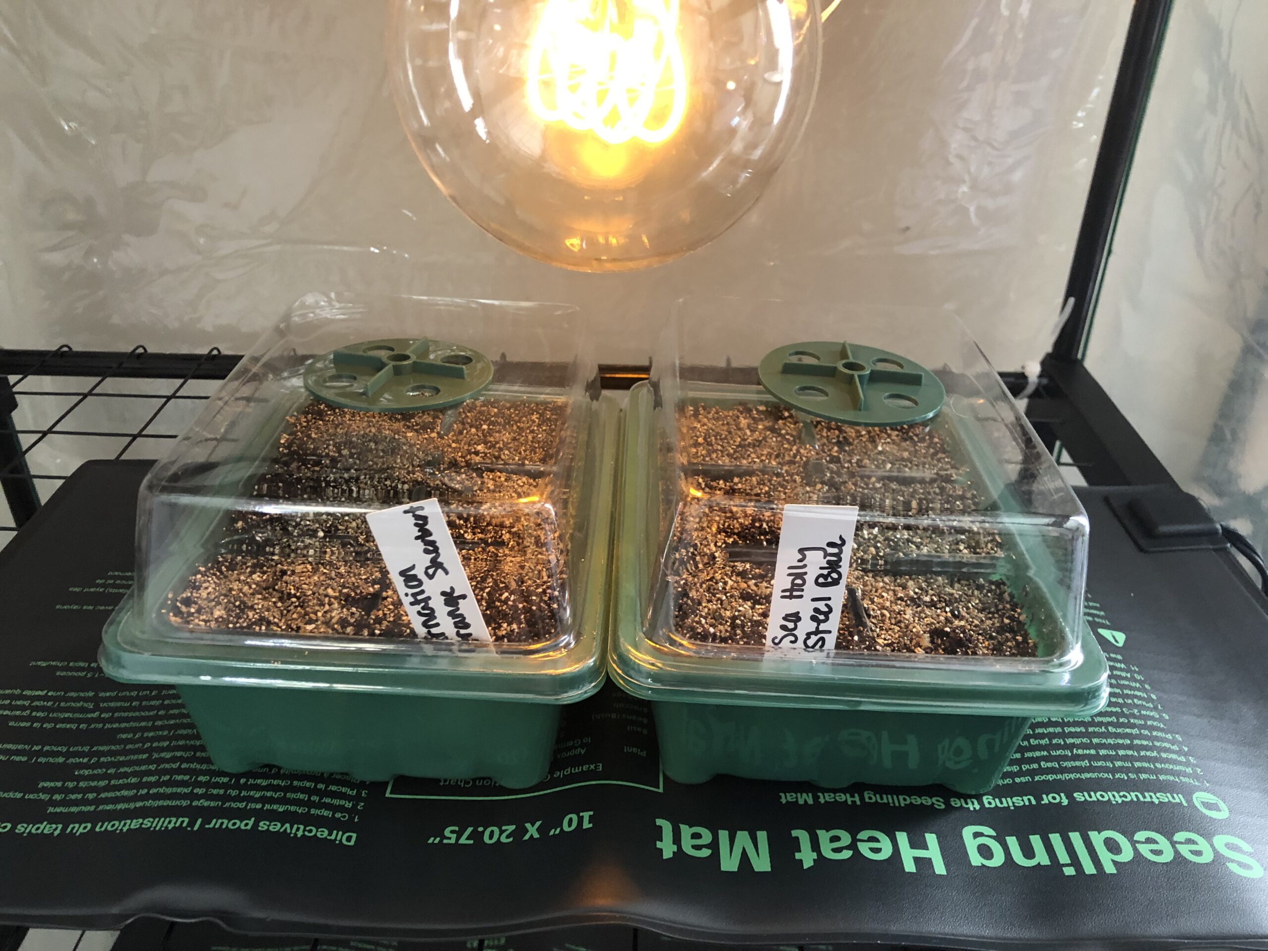 Seed Starter Tray (10 Pack) 6 Cell Seedling Starter Trays and Tool Kit for Garden Plant Seeds | Seed Planting Tray with Garden Dome Lid, Base Tray, Planting Hand Tools, Dibber, Widger & Plant Tags - Customer Photo 2