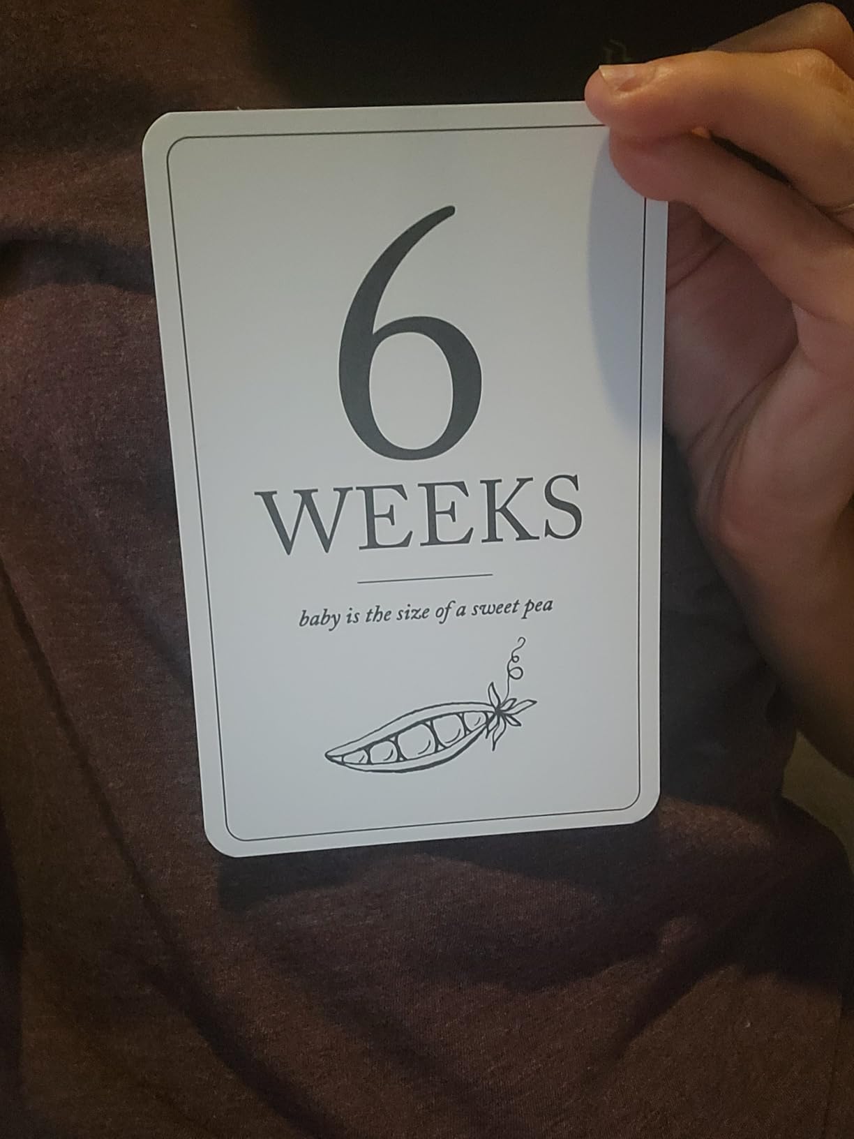 Baby Milestone Cards (19+11) - Weekly Baby Milestone Signs w/Hello World Newborn Sign, Announcement Sign - Birth Announcement Cards for New Moms - Customer Photo 1