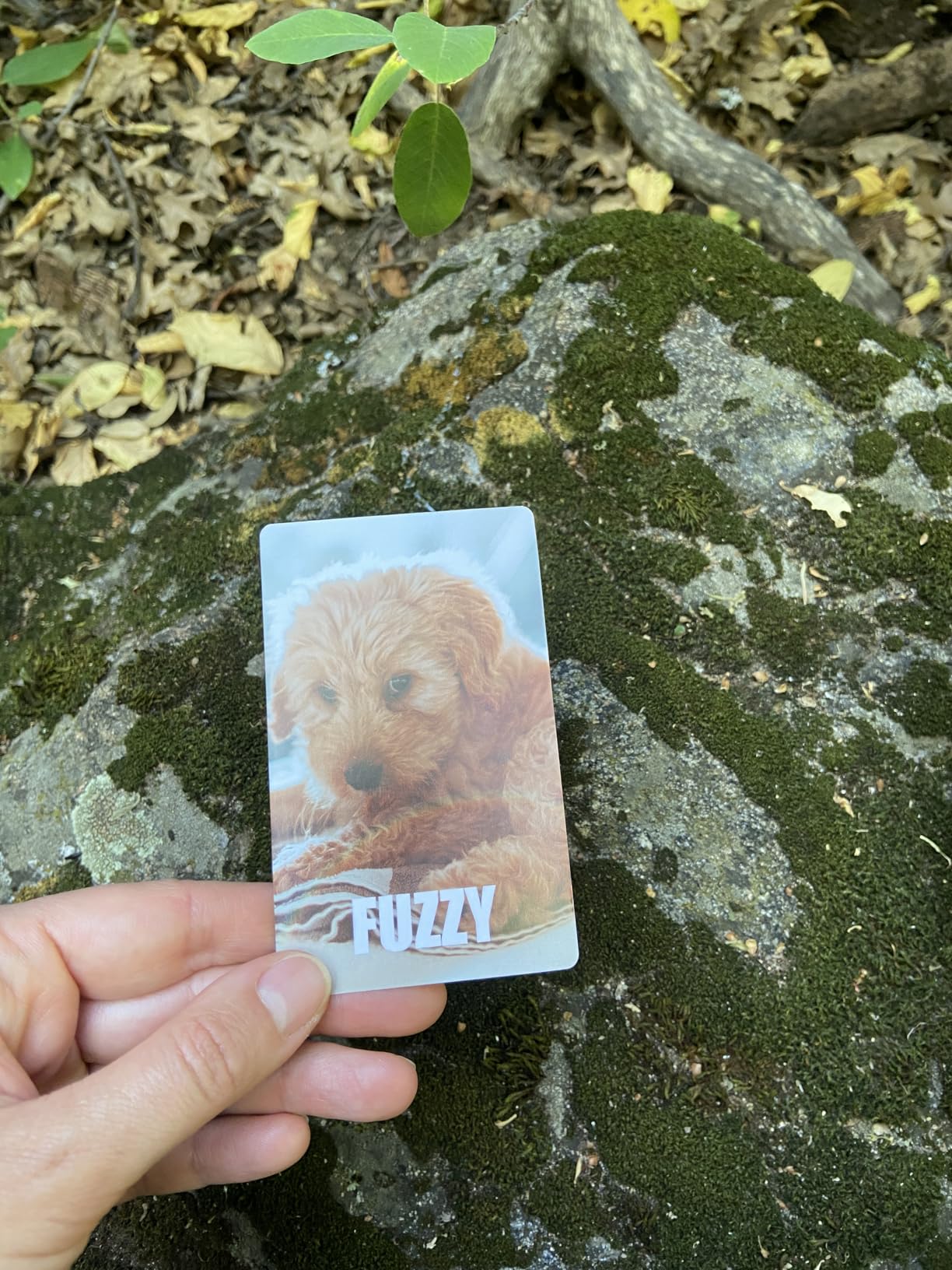 Hapinest Find and Seek Scavenger Hunt Card Game, Indoor Outdoor Activities for Kids Toddler & Family, Beach Camping Travel Car Games for Road Trips, Kids Scavenger Hunt Game Age 3 4 5 6 Years Old & Up - Customer Photo 1