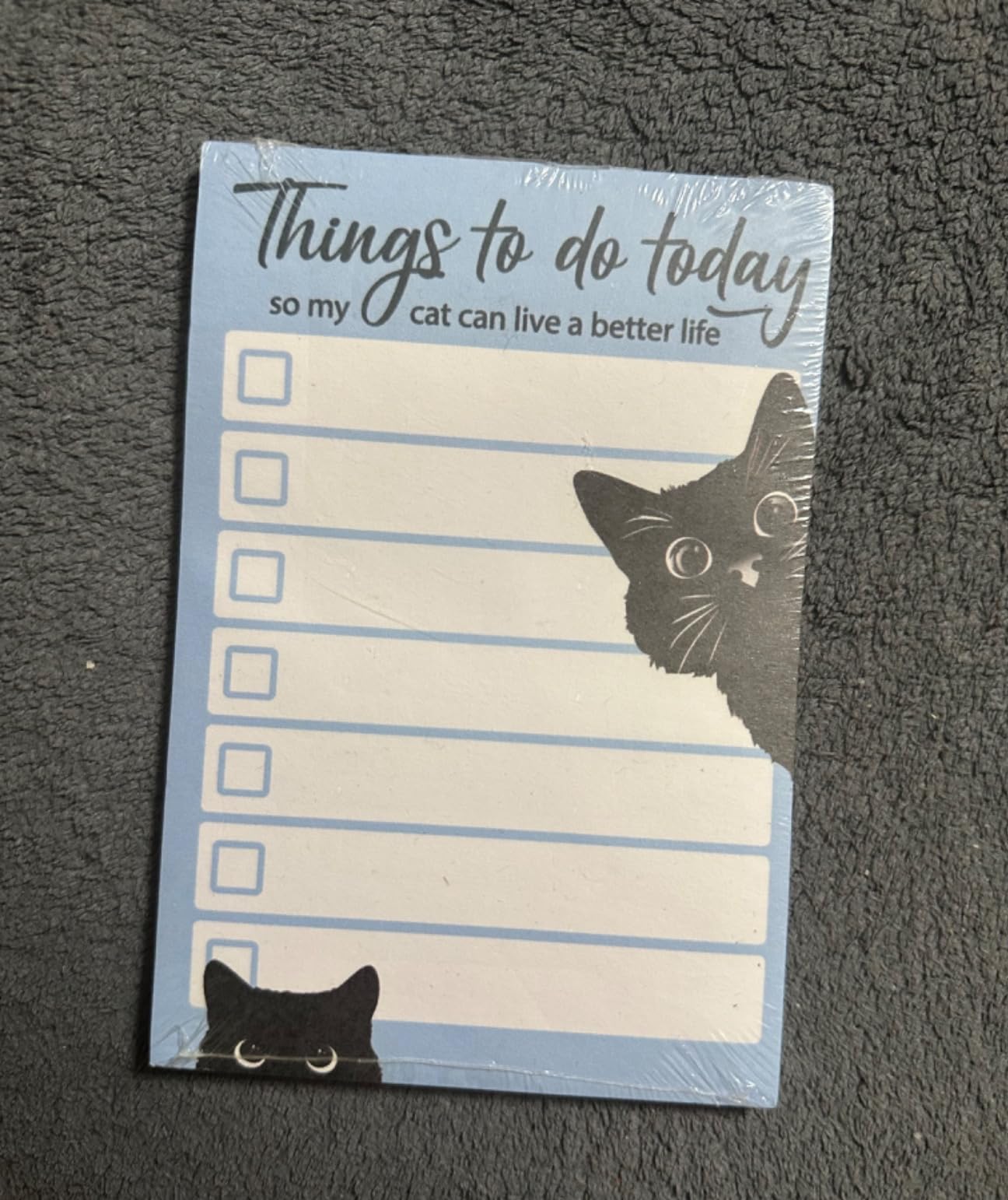 Funny Black Cat Lover Small to Do List Sticky Notes, Pink | Things to Do Today | Humor Notebook Notepad Note Card for Women Gift| 50 Pages 4x6 by DAILY RITMO - Customer Photo 2