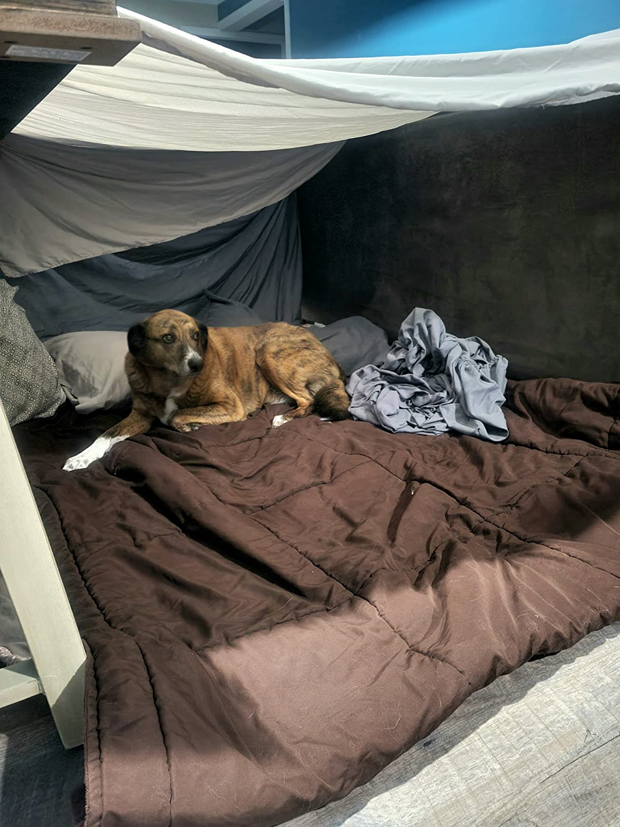 Couples Edition – 50 Scratch-Off Date Night Ideas | Fun & Unique Couples Gift | Relationship & Marriage Activity Book for Deeper Connection - Customer Photo 3