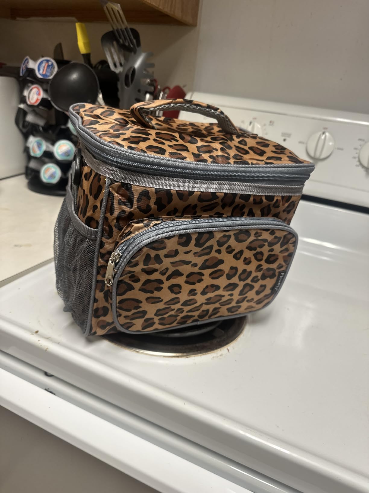 FlowFly Insulated Reusable Lunch Bag Adult Large Lunch Box for Women and Men with Adjustable Shoulder Strap,Front Zipper Pocket and Dual Large Mesh Side Pockets,Leopard - Customer Photo 1