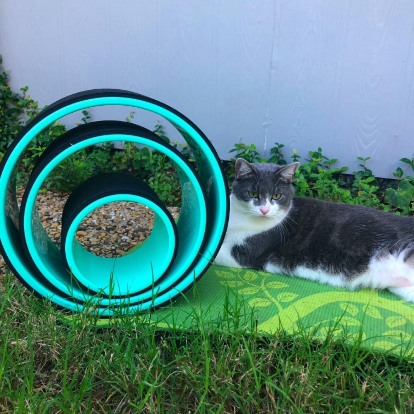 Florensi Cork Yoga Wheel Set - Pack of 3, 13 in, 10 in & 6 in, Yoga Wheel for Back Pain & Stretching, Cork Body Roller for Deep Tissue Massage - Customer Photo 2