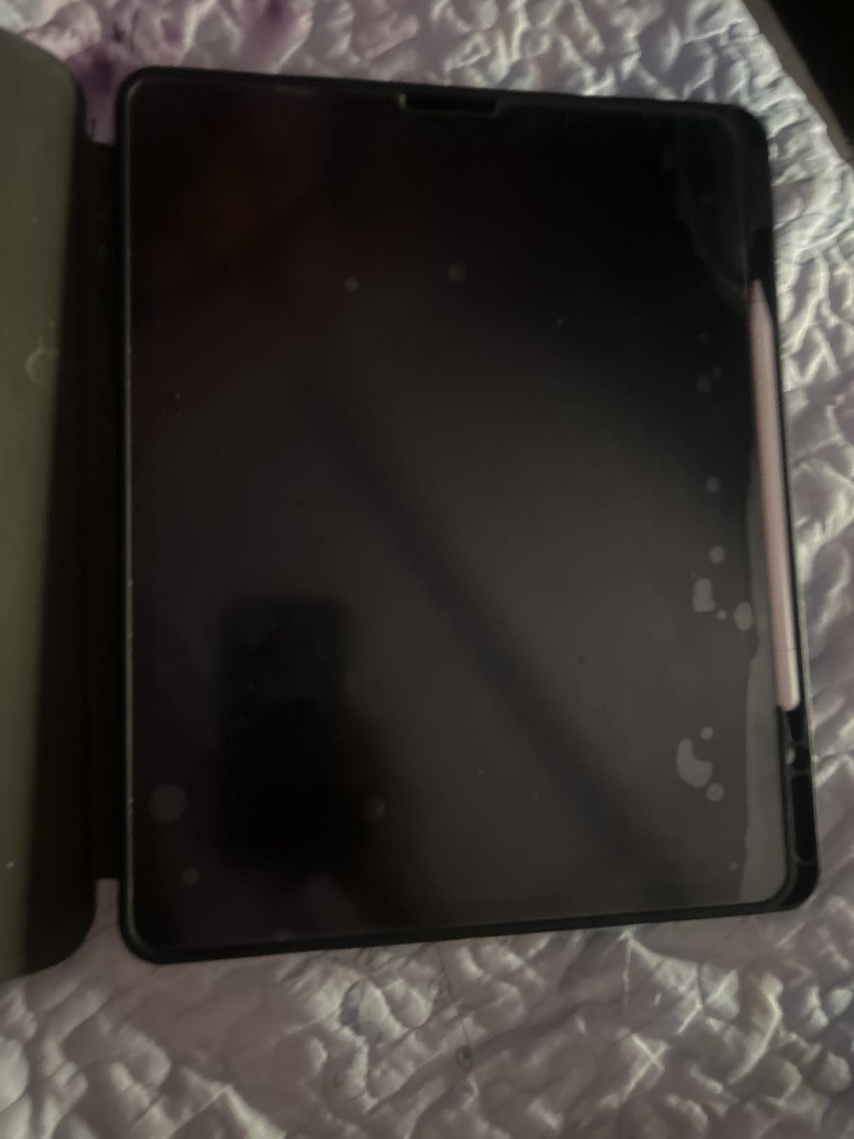 2020 Apple iPad Pro (12.9-inch, Wi-Fi, 256GB) - Space Gray (Renewed) - Customer Photo 1