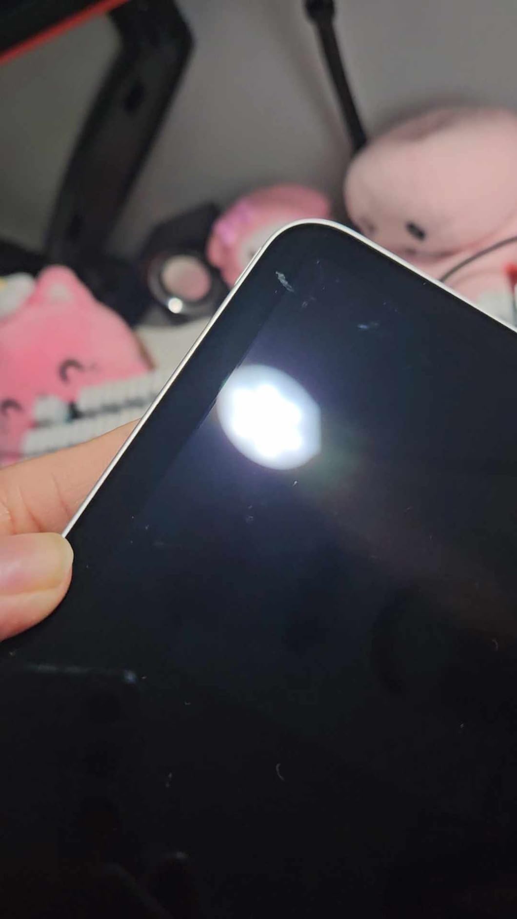 2020 Apple iPad Pro (12.9-inch, Wi-Fi, 256GB) - Space Gray (Renewed) - Customer Photo 2