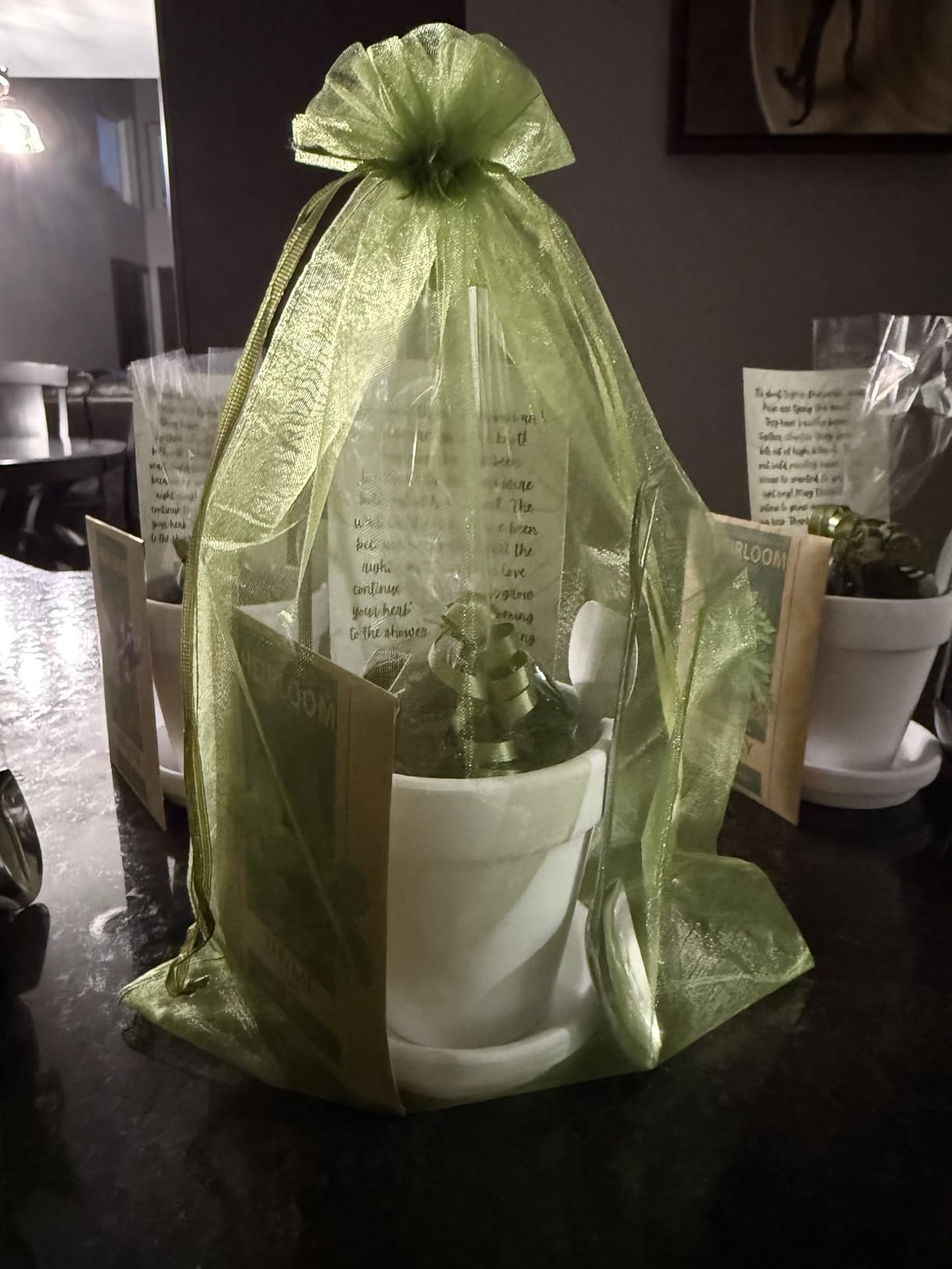 HOME GROWN DELUXE 8 Herb Seeds Garden Kit, Complete Indoor Planter Gift with Basil Cilantro Mint & More, Unique Kitchen Growing Set for Women Men, Birthday Housewarming Present - Customer Photo 2