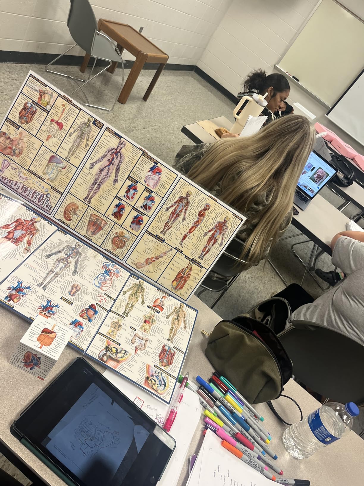 Human Anatomy Study Cube | Study 9 Parts of The Human Body | Perfect Anatomy Revision Guide | Addictive Anatomy Model Cube | Great Gift for Nurse, Dentist, Medical Students - Customer Photo 1