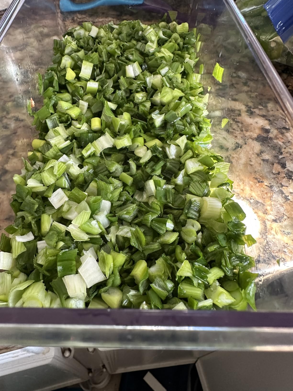 Mueller The Real Original Pro Chopper since 2013 Vegetable Chopper Mandoline Slicer, 8 Blade Food Veggie Chopper Onion Vegetable Cutter with Container, Kitchen Gadgets & Essentials, (10 in 1) - Customer Photo 1