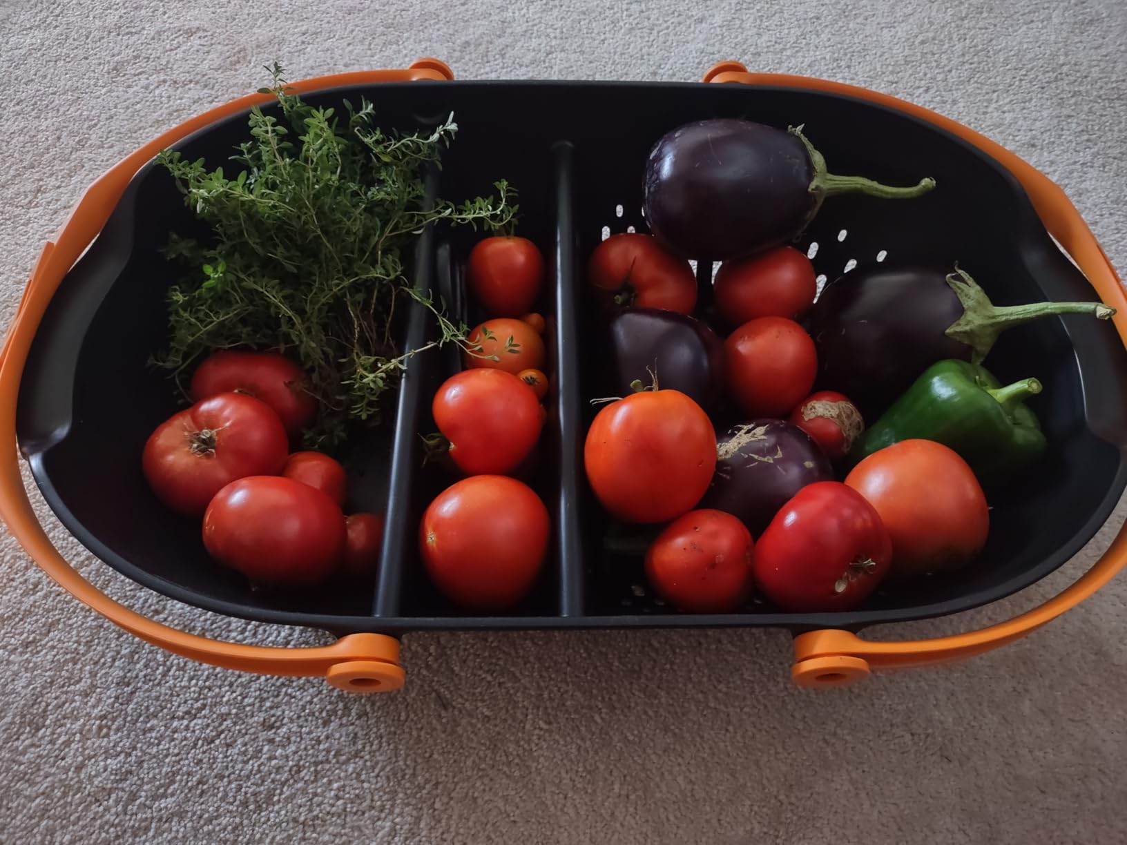 Fiskars Garden Harvest Basket - Container for Gardening and Harvesting with Tool Caddy - Harvesting Basket Doubles as a Colander for Vegetables and Fruits - Garden Accessories - Customer Photo 2