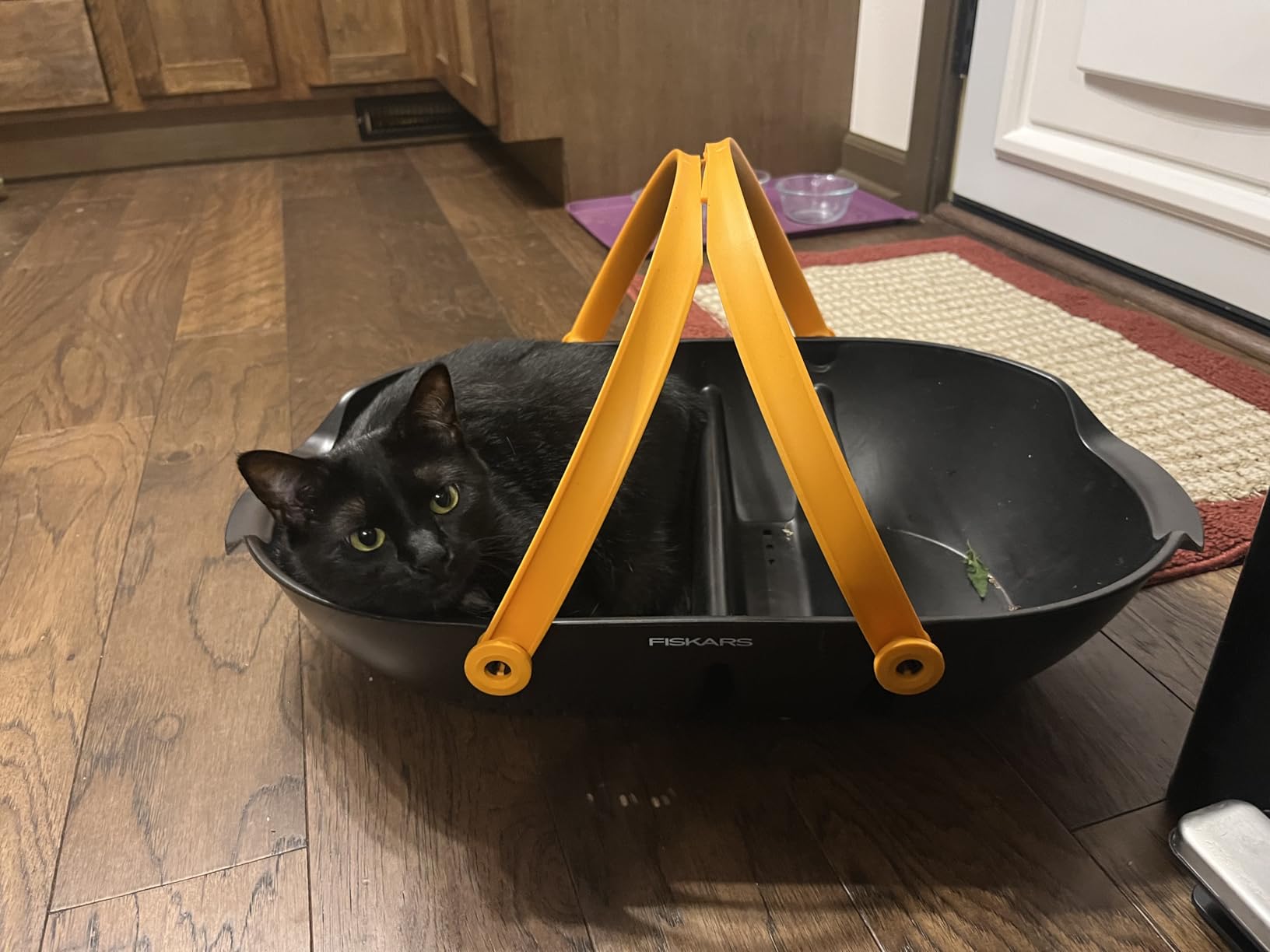 Fiskars Garden Harvest Basket - Container for Gardening and Harvesting with Tool Caddy - Harvesting Basket Doubles as a Colander for Vegetables and Fruits - Garden Accessories - Customer Photo 4