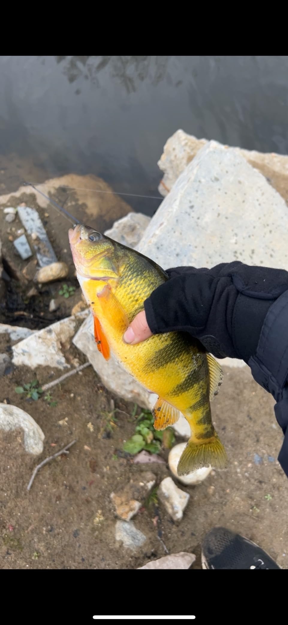 KastKing BlowBak Tactical Sling Tackle Bag-Lightweight Fishing Backpack Storge Fishing Gear and Equipment,Gift for Men - Customer Photo 1