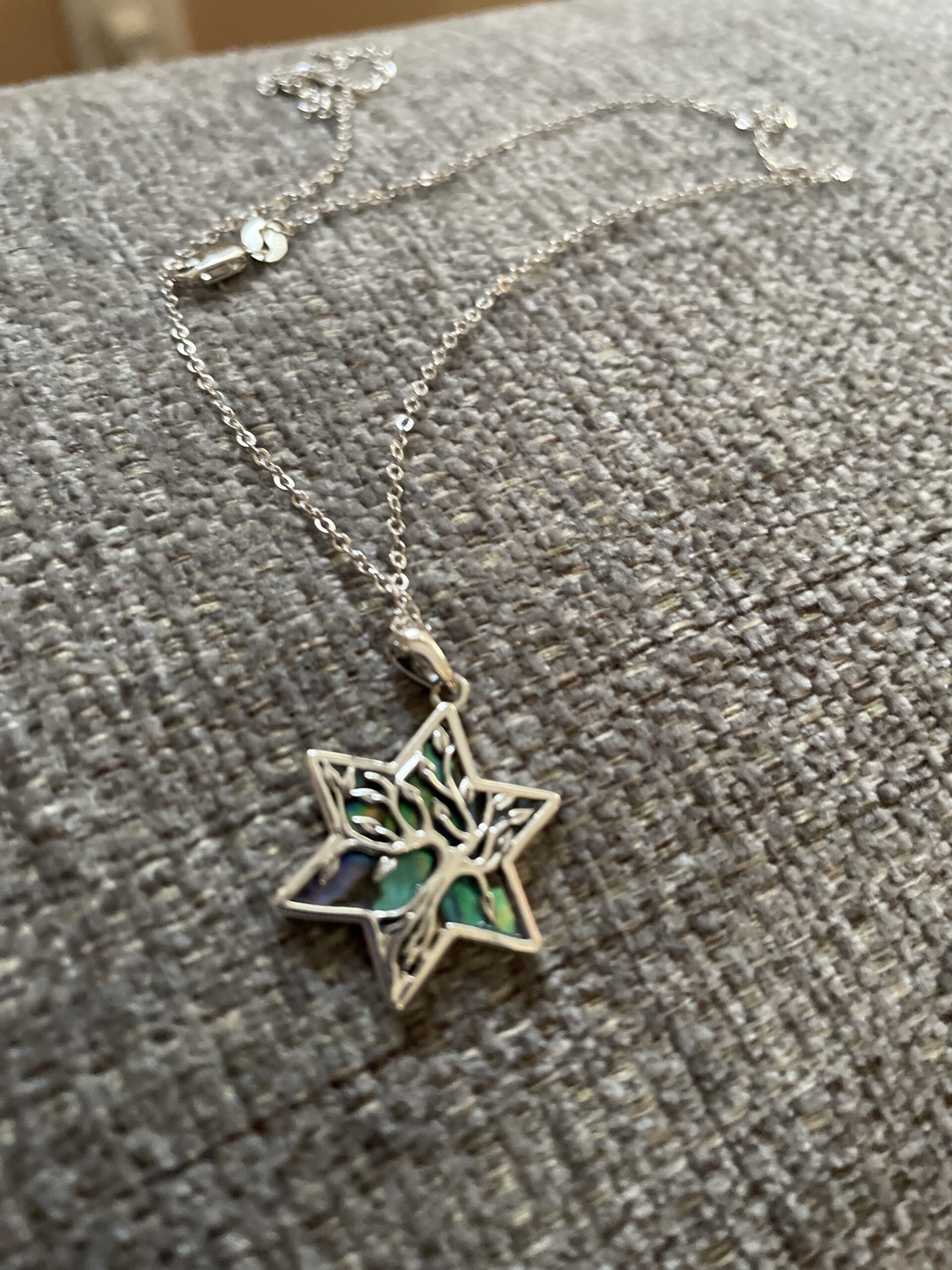 ONEFINITY Tree of Life Necklace 925 Sterling Silver Abalone Shell Celtic Knot Pendant Necklace for Women Jewelry - Customer Photo 2