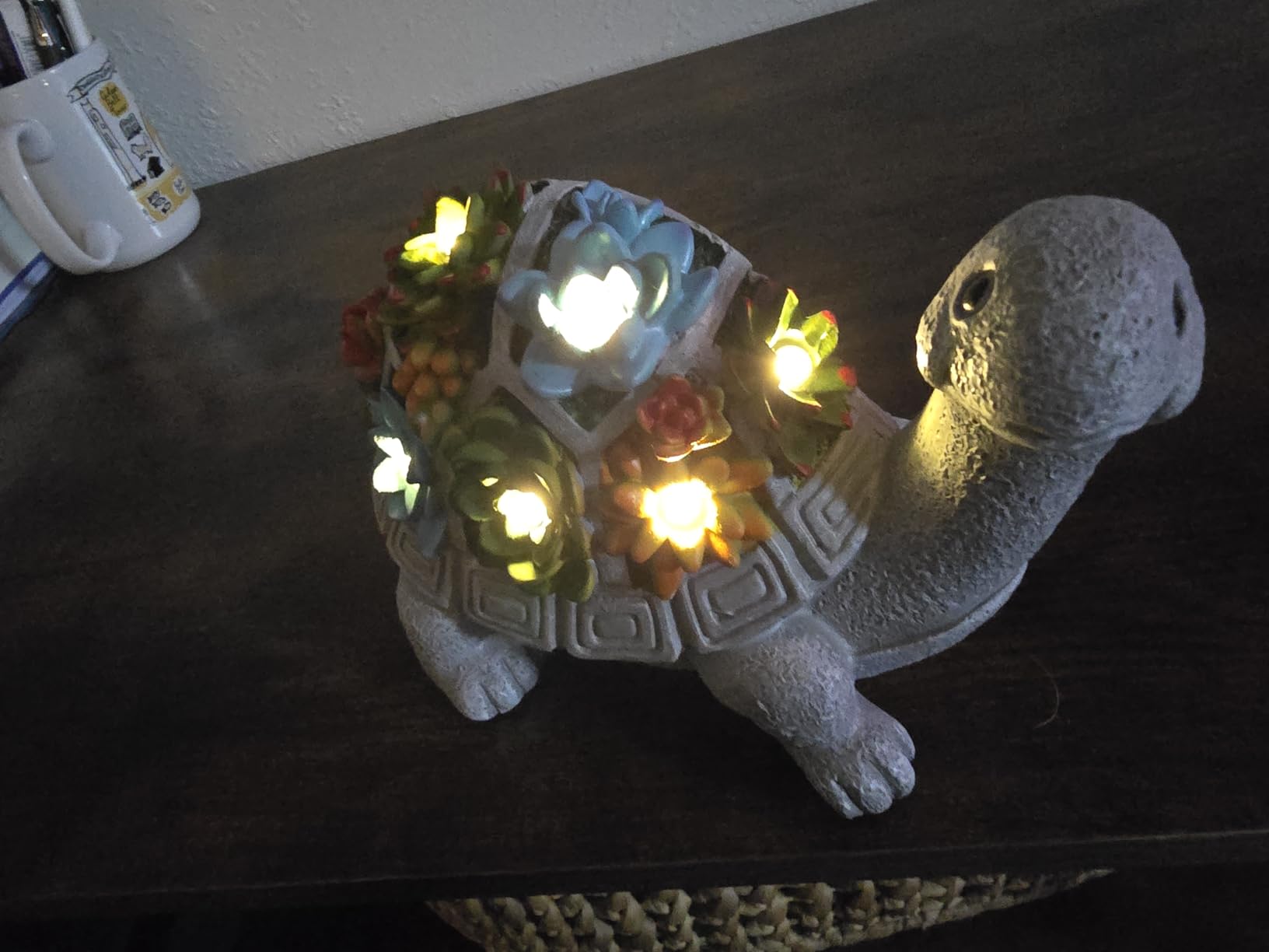 Nacome Solar Garden Outdoor Statues Turtle with Succulent and 7 LED Lights - Customer Photo 1