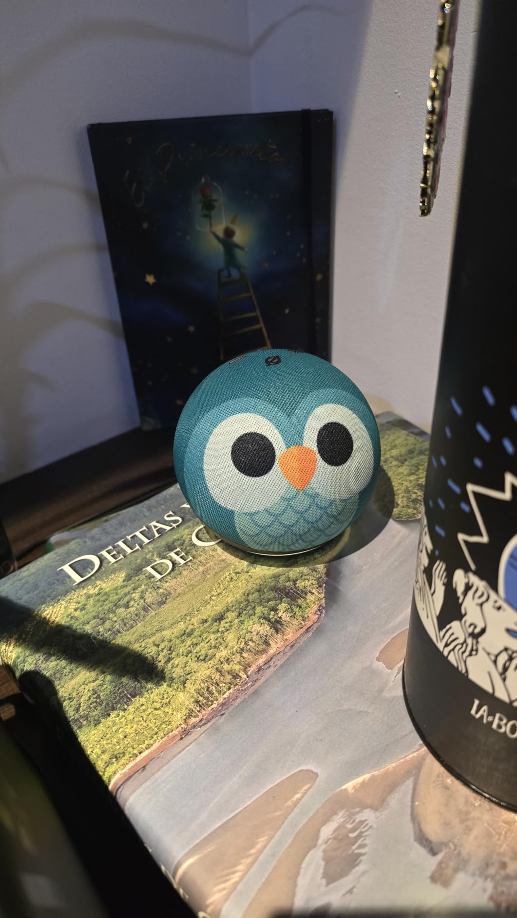 Echo Dot Kids (newest model) - Designed for kids, with Alexa+ Early Access, parental controls, Includes 1 Year of Amazon Kids+, Owl - Customer Photo 2