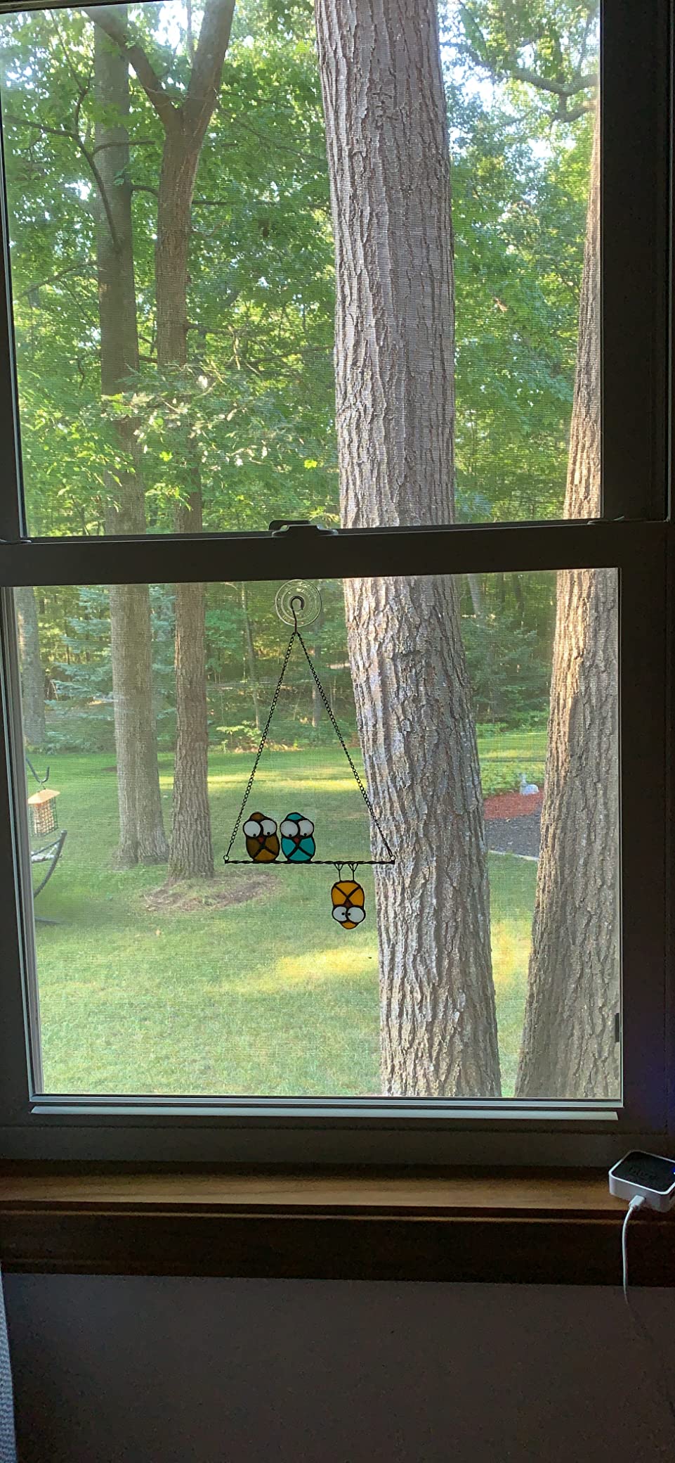 Multicolor Owls on a Wire High Stained Glass Suncatcher Panel, Bird Suncatcher for Windows Doors Room Home Decoration Hummingbird Ornamentand Gifts for Bird Lovers Customer Review Multicolor Owls on a Wire High Stained Glass Suncatcher Panel, Bird Suncatcher for Windows Doors Room Home Decoration Hummingbird Ornamentand Gifts for Bird Lovers - Customer Photo 3