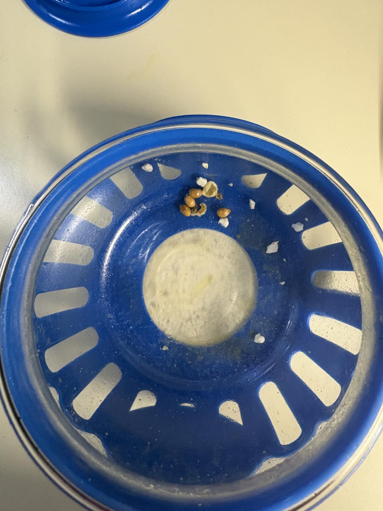 Ecolution Patented Micro-Pop Microwave Popcorn Popper with Temperature Safe Glass, 3-in-1 Lid Measures Kernels and Melts Butter, Made Without BPA, Dishwasher Safe, 1.5-Quart, Aqua - Customer Photo 1