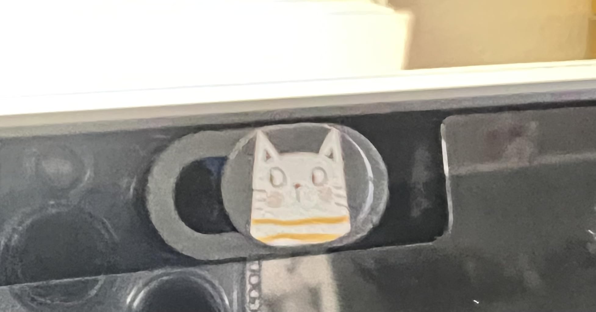 MESMOS Webcam Cover Slide, Cat Lovers Gifts for Women, Cat Lover Themed Thing, Mom Gifts for Women, Laptop Camera Cover Slide Cute (Small) - Customer Photo 2