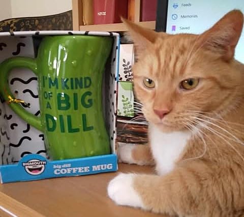 BigMouth Large Green Ceramic Pickle Mug 64oz Funny Coffee Mugs Gag Gift for Adults and Coffee Lovers Unique Gift for Men and Women - Customer Photo 1